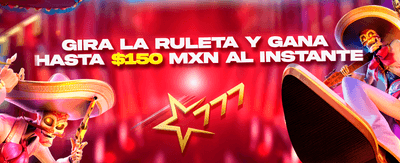 Recarga Diaria Energética